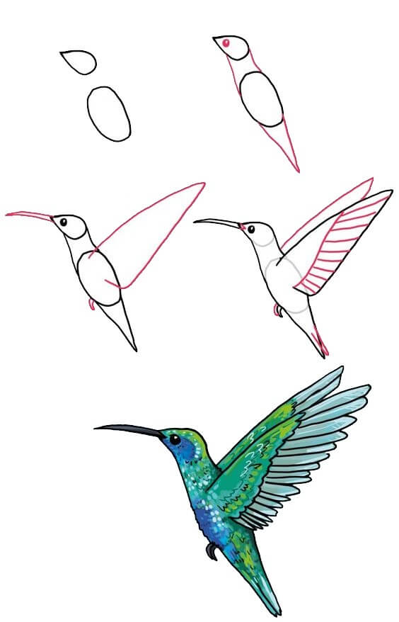 Dibujos de Un Colibrí - Idea 11