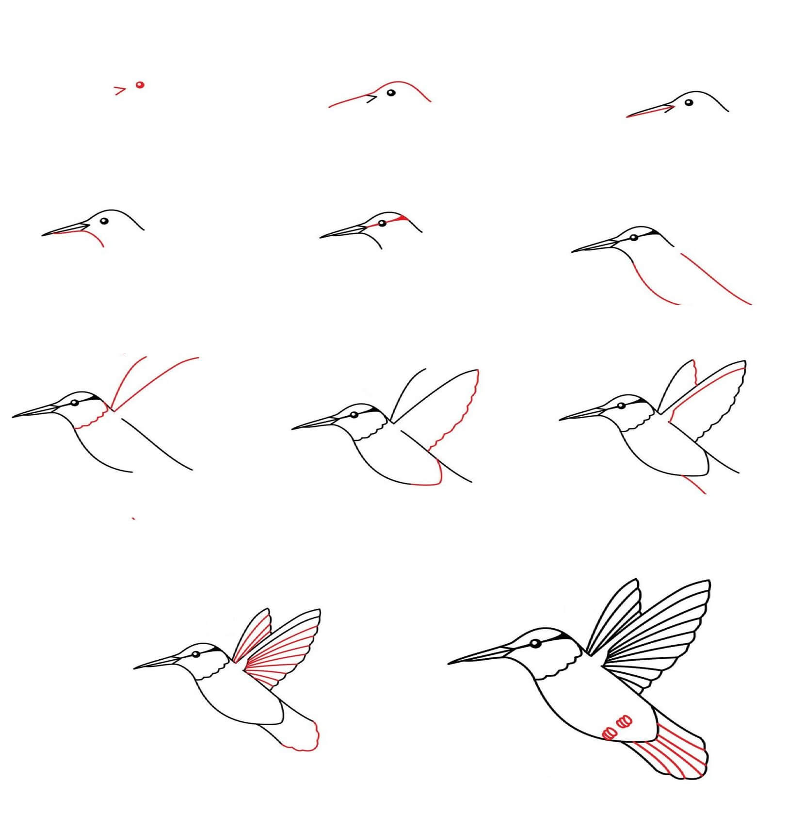 Dibujos de Un Colibrí - Idea 15