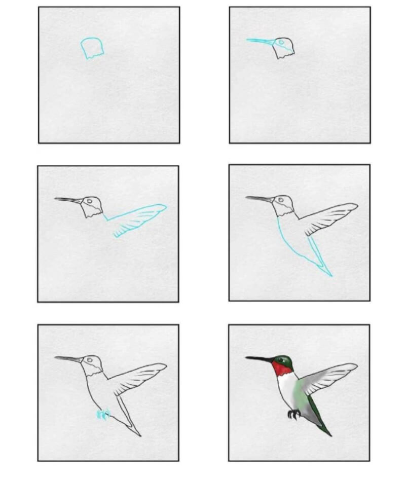 Dibujos de Un Colibrí - Idea 18