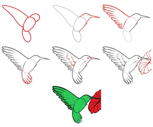 Dibujos de Un Colibrí - Idea 24