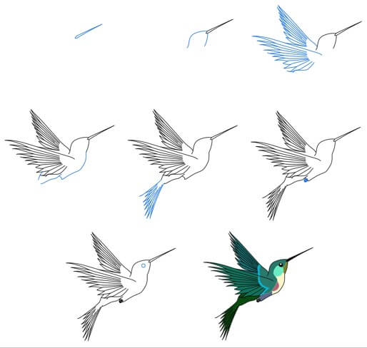 Dibujos de Un Colibrí - Idea 25