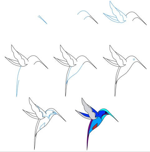 Dibujos de Un Colibrí - Idea 26