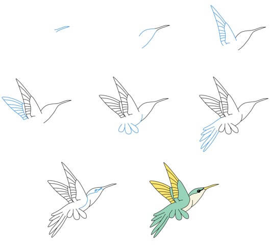 Dibujos de Un Colibrí - Idea 28