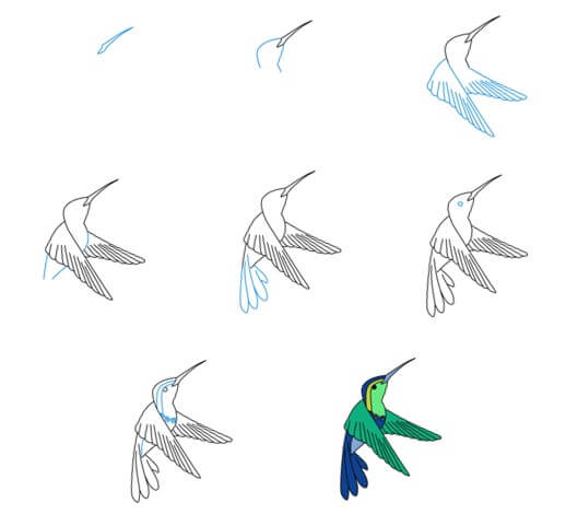 Dibujos de Un Colibrí - Idea 29