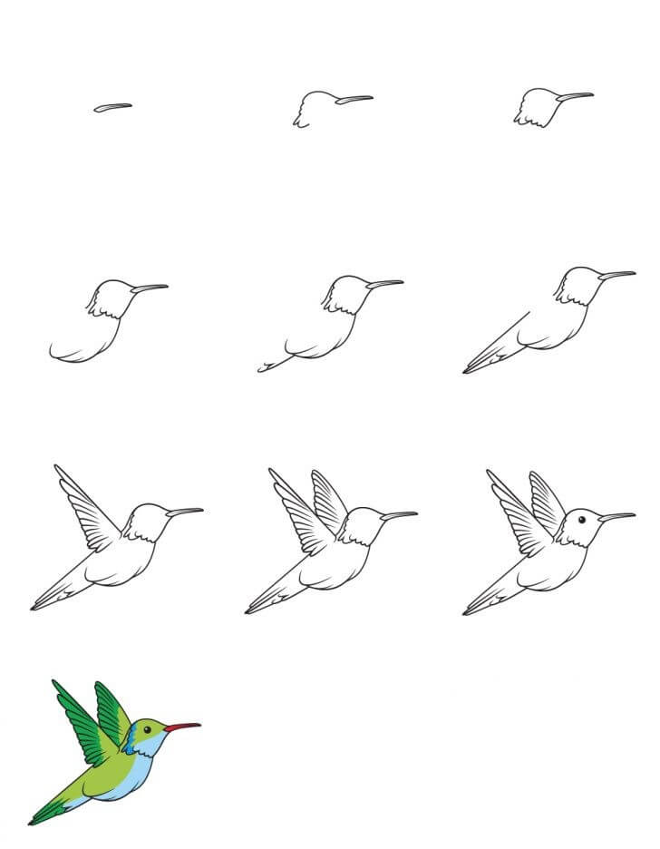 Dibujos de Un Colibrí - Idea 32