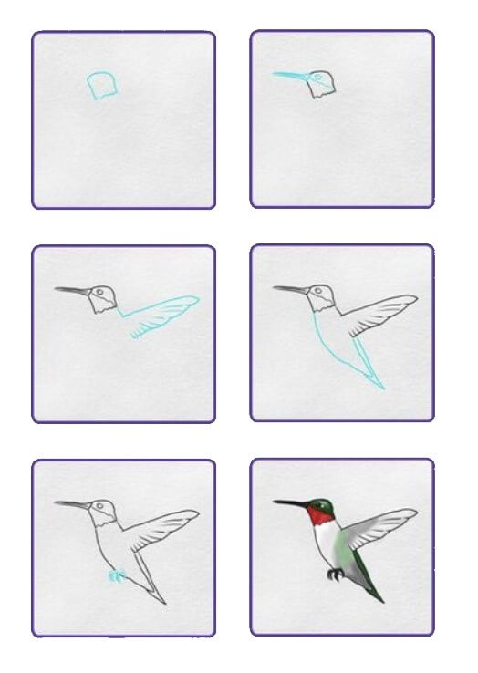 Dibujos de Un colibrí sencillo