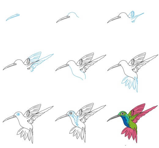 Dibujos de Colibri