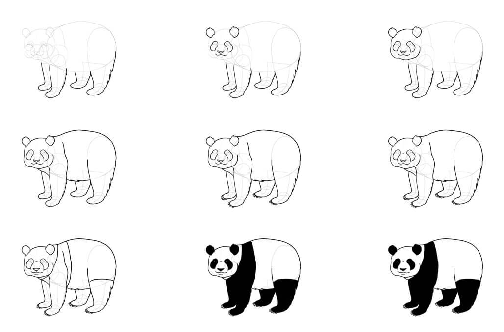 Dibujos de Oso Panda - Idea 16