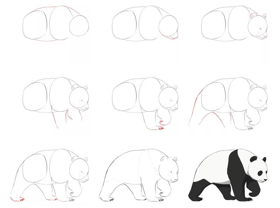 Dibujos de Panda Realista - Idea 27