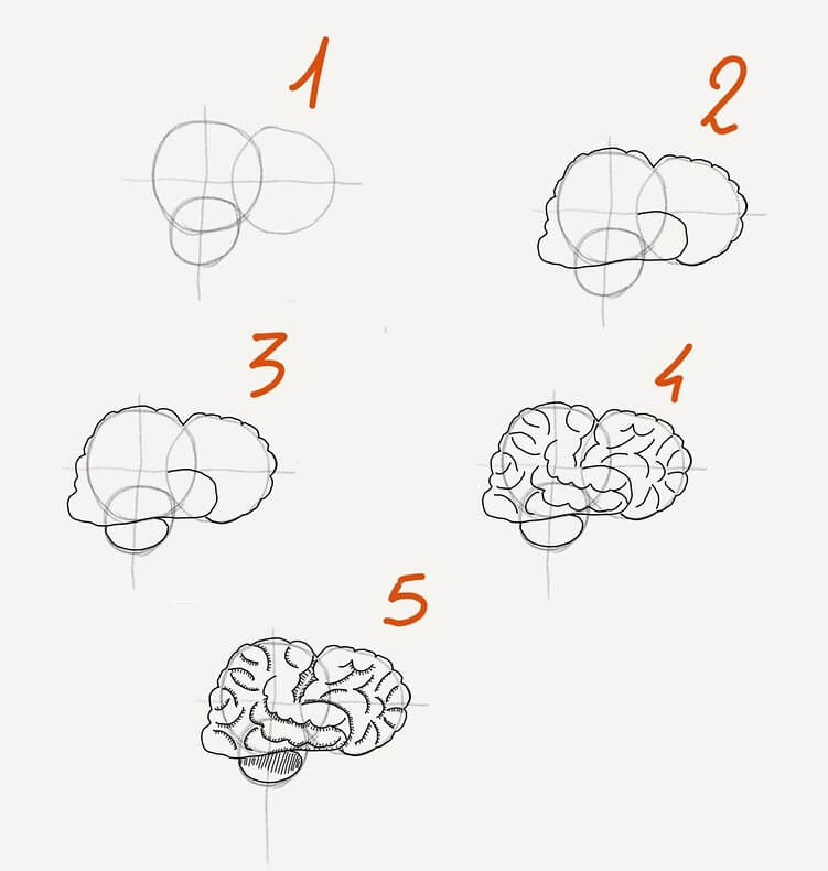 Dibujos de Cerebro a lápiz - Idea 16