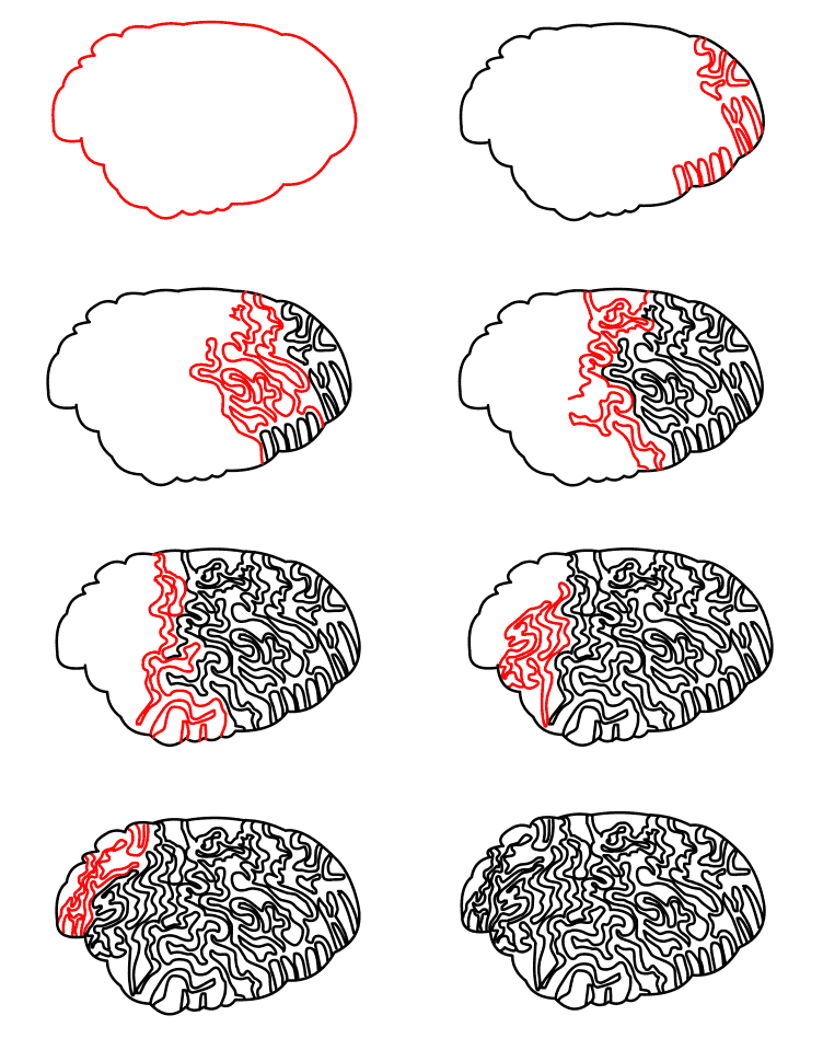 Dibujos de Cerebro a lápiz