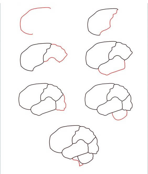 Dibujos de Cerebro - Idea 18