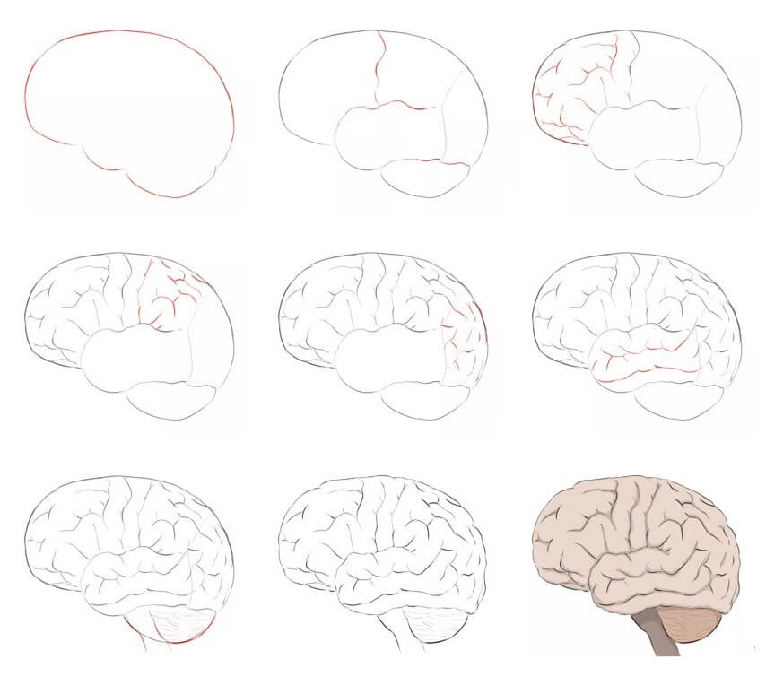 Dibujos de Cerebro - Idea 3