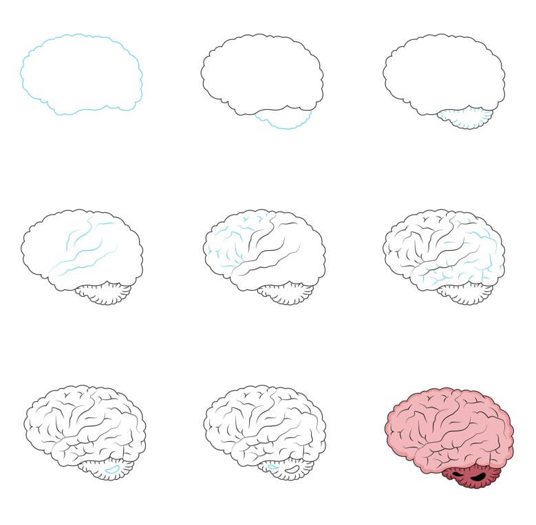 Dibujos de Cerebro sencillo